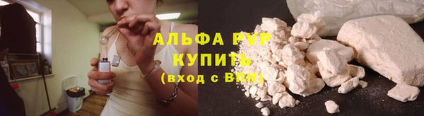 СК Шадринск