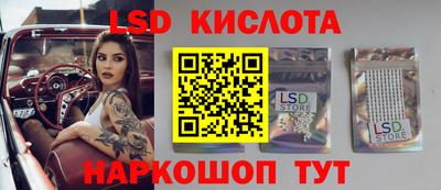 мдпв Камышлов
