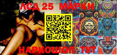 мдпв Камышлов