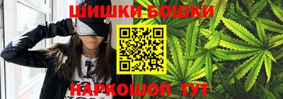 мдпв Камышлов