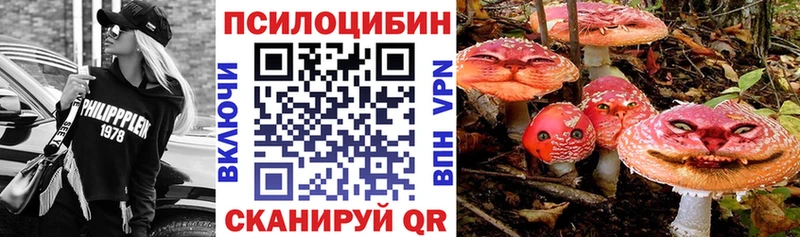 Галлюциногенные грибы Cubensis  что такое наркотик  Мариинск 